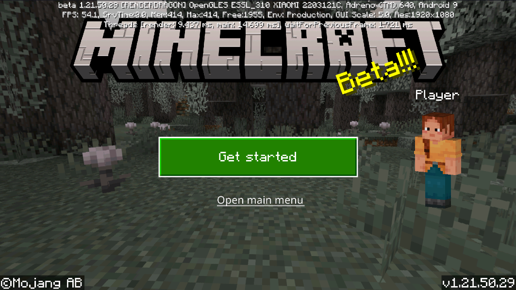 Minecraft Beta