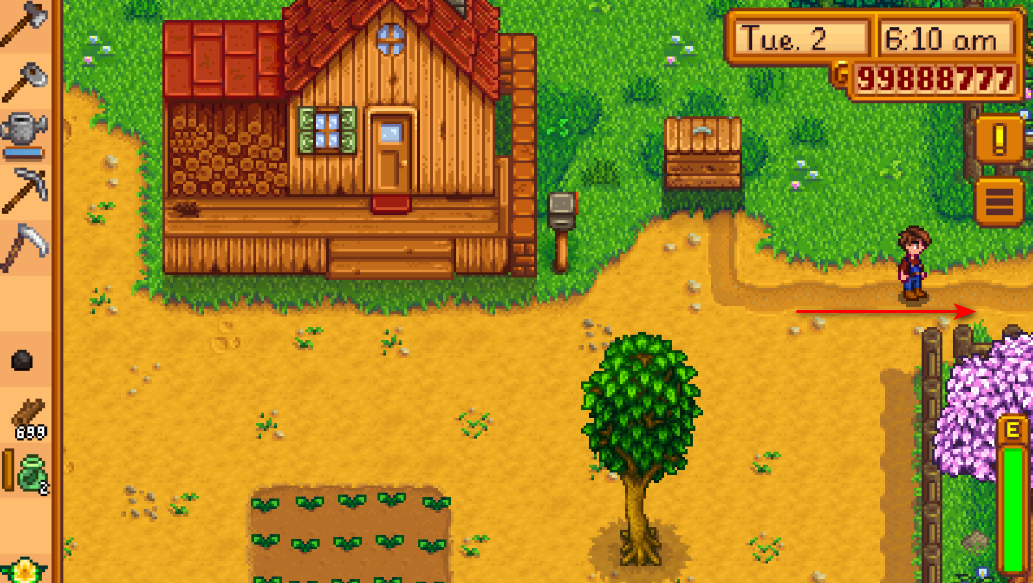 Stardew Valley